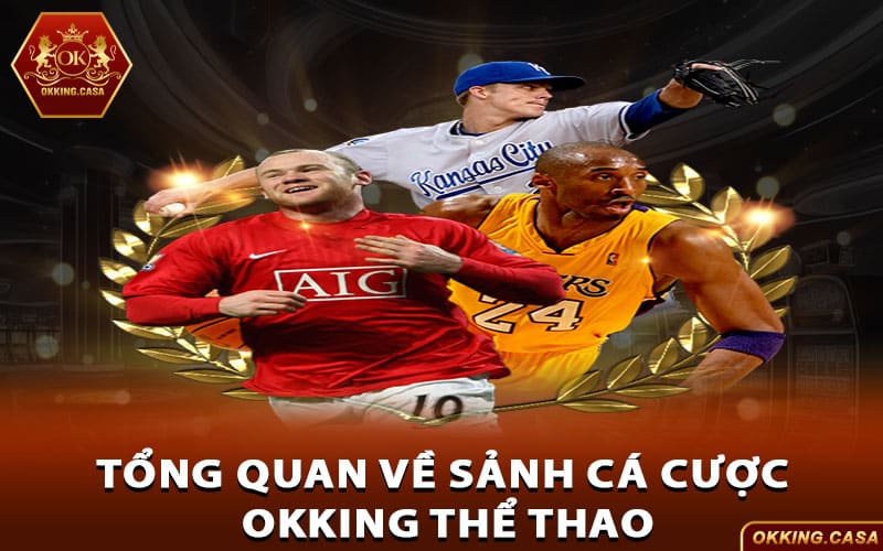 Tổng quan về sảnh cá cược Okking Thể Thao