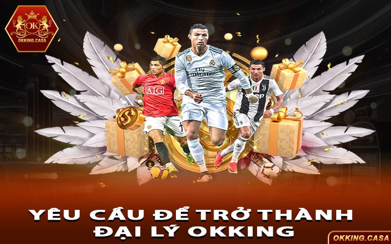 Yêu cầu để trở thành đại lý Okking